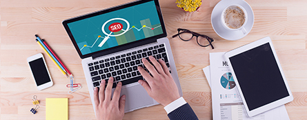 Professional analyzing the SEO activities done to the client website